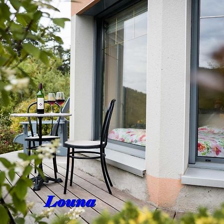 Appartements 5 Personnes Maya Et Louna Xonrupt-Longemer Exterior foto