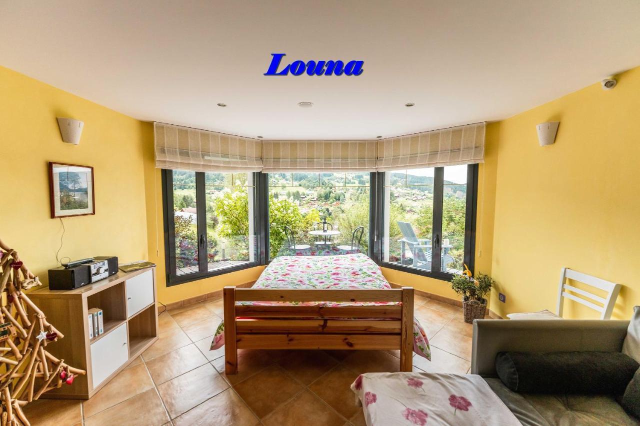 Appartements 5 Personnes Maya Et Louna Xonrupt-Longemer Exterior foto