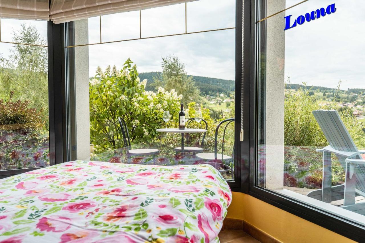 Appartements 5 Personnes Maya Et Louna Xonrupt-Longemer Exterior foto